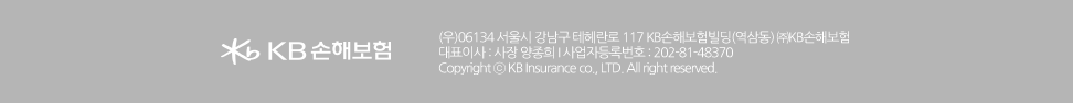 KB손해보험