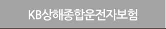 KB국민 운전자보험