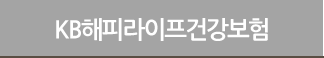 KB 해피라이프 건강보험